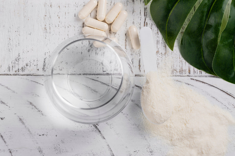 Add Prebiotic Fiber Powder to Foods or Drinks