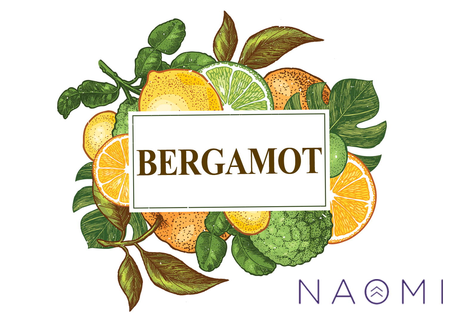 High Cholesterol? Don’t Wait ‘Til It’s Too Late to Fix It