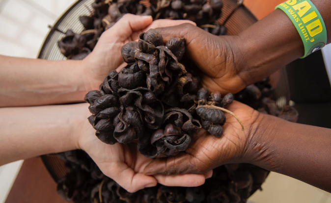 Best Weight loss Supplements