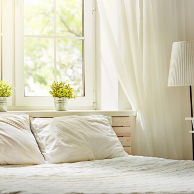 Autophagy: The Pre-Sleep Ritual