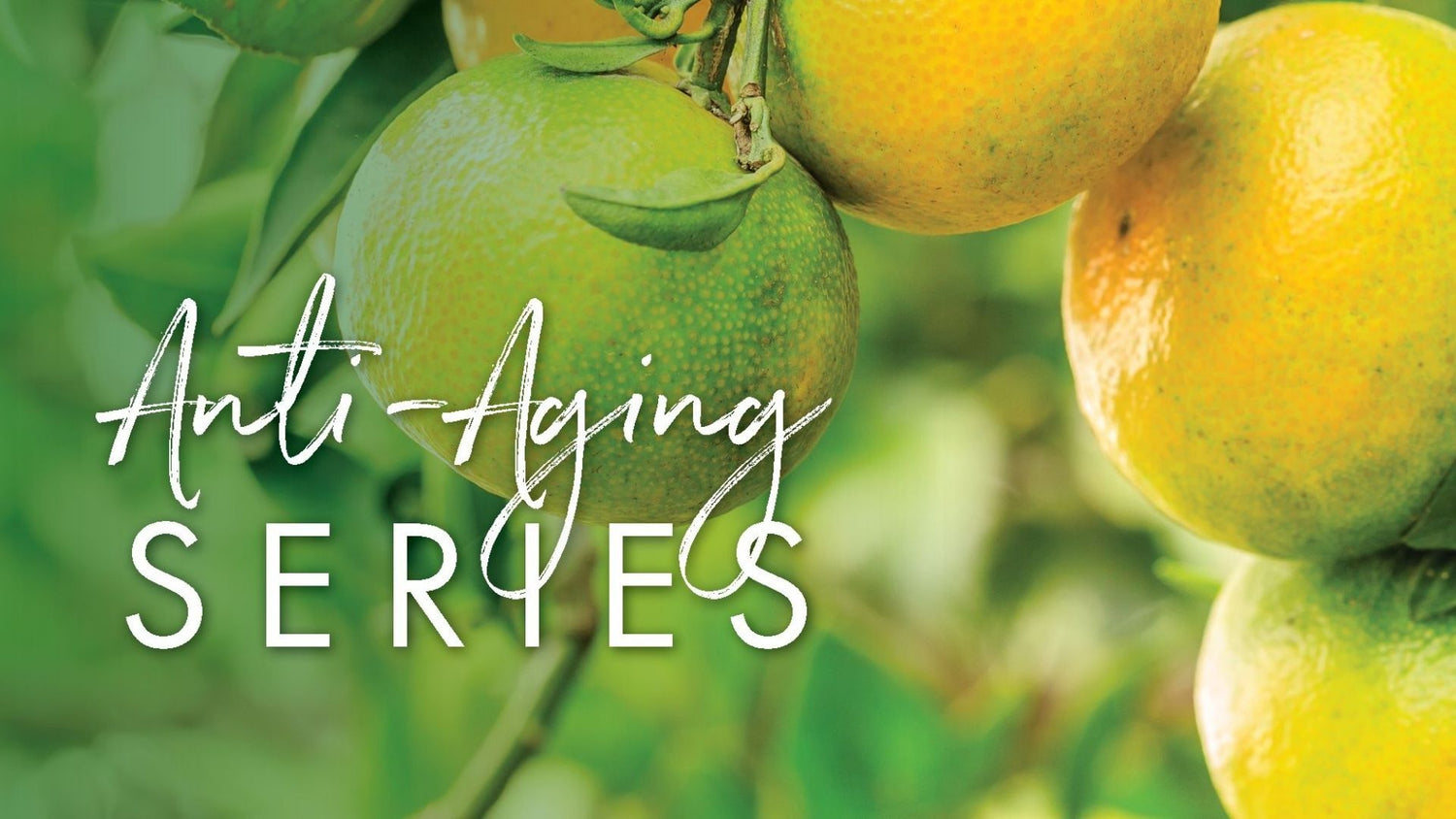 Aging Well Series, Part 1: A Woman’s Guide to Heart Health