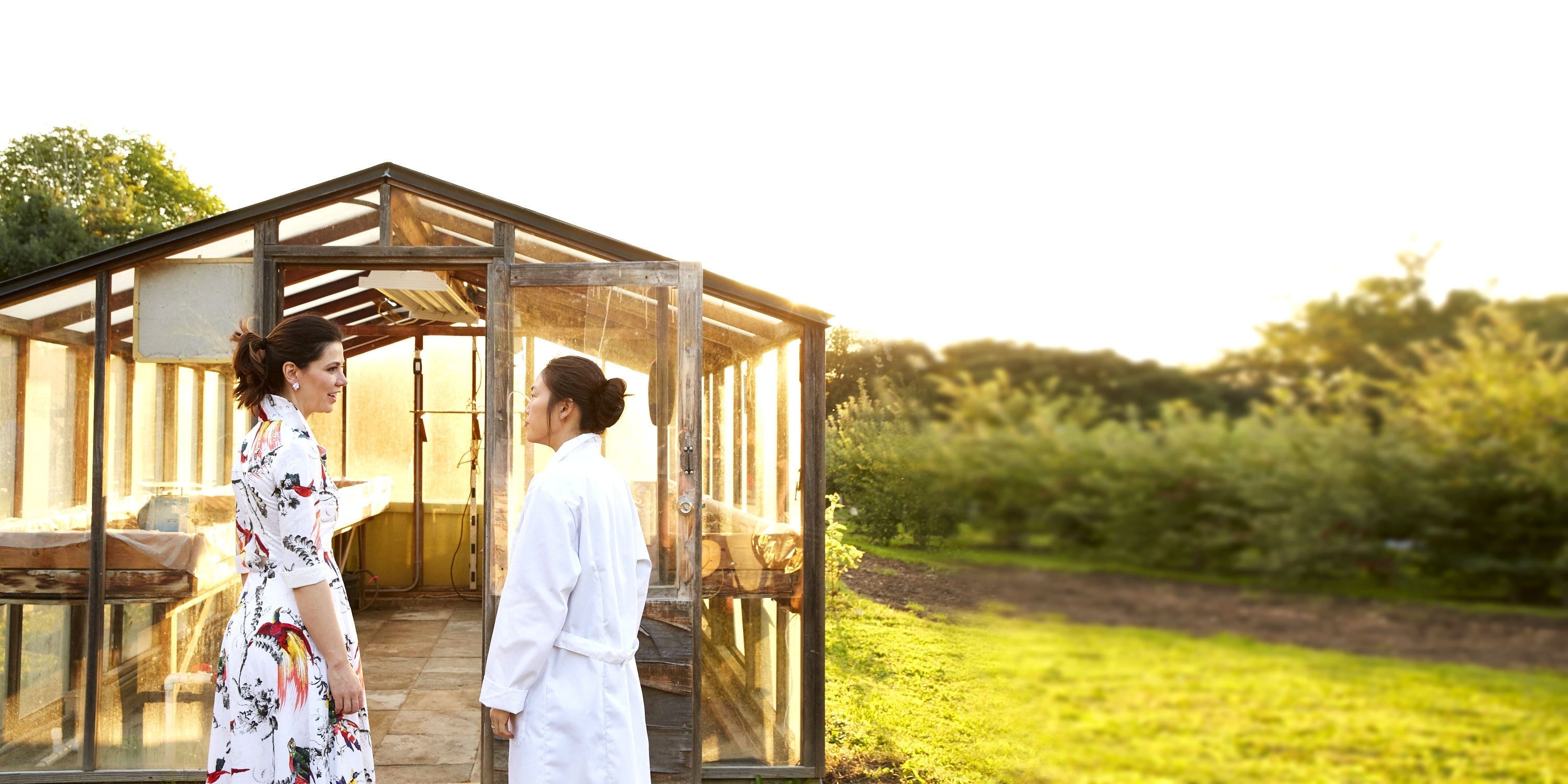 Autophagy: What sugar does to your skin