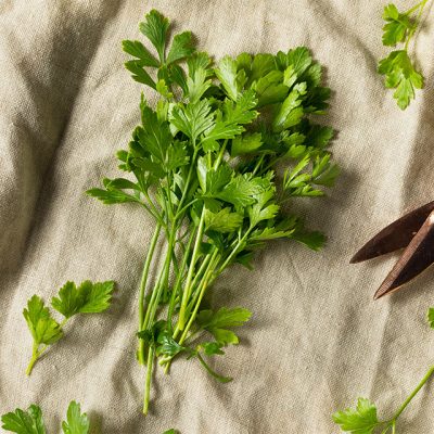 Is Parsley Keto Diet Friendly? Parsley Health Benefits