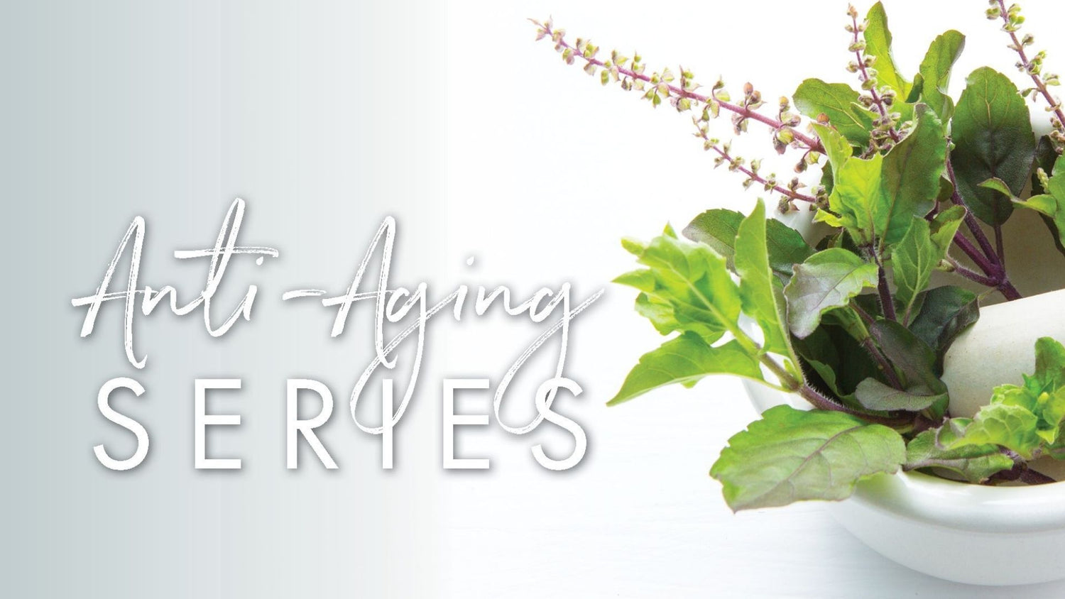 Putting Stress and Anxiety to Bed