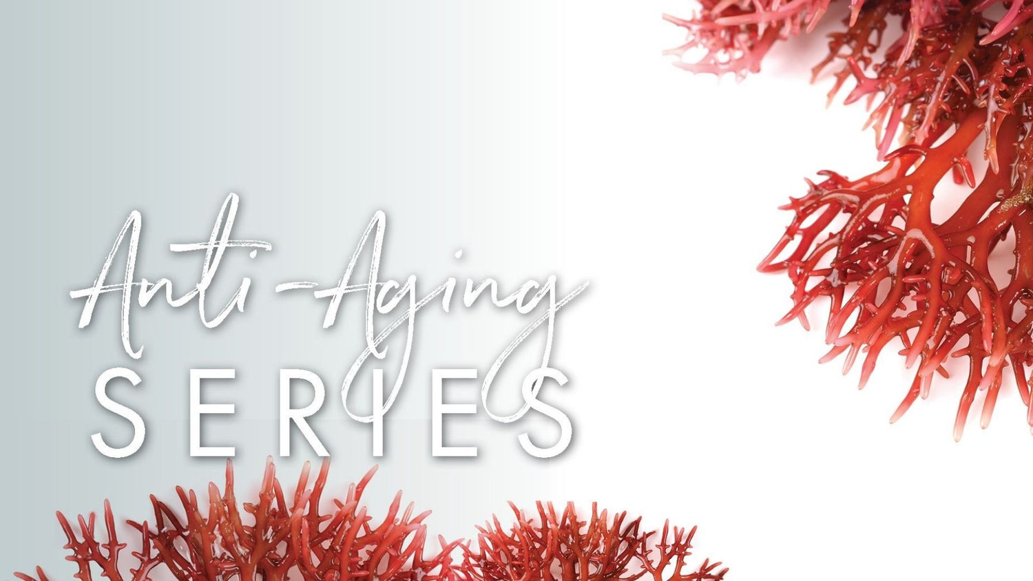 The Rapid Aging Scavenger You Need to Avoid