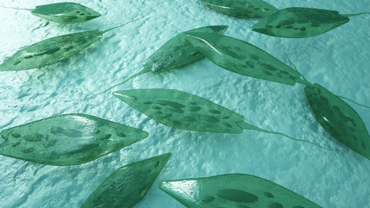 Two New Studies on Astaxanthin, and What They Actually Found