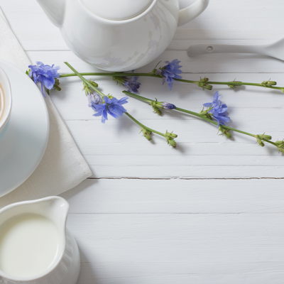 Chicory Root For A Keto Diet