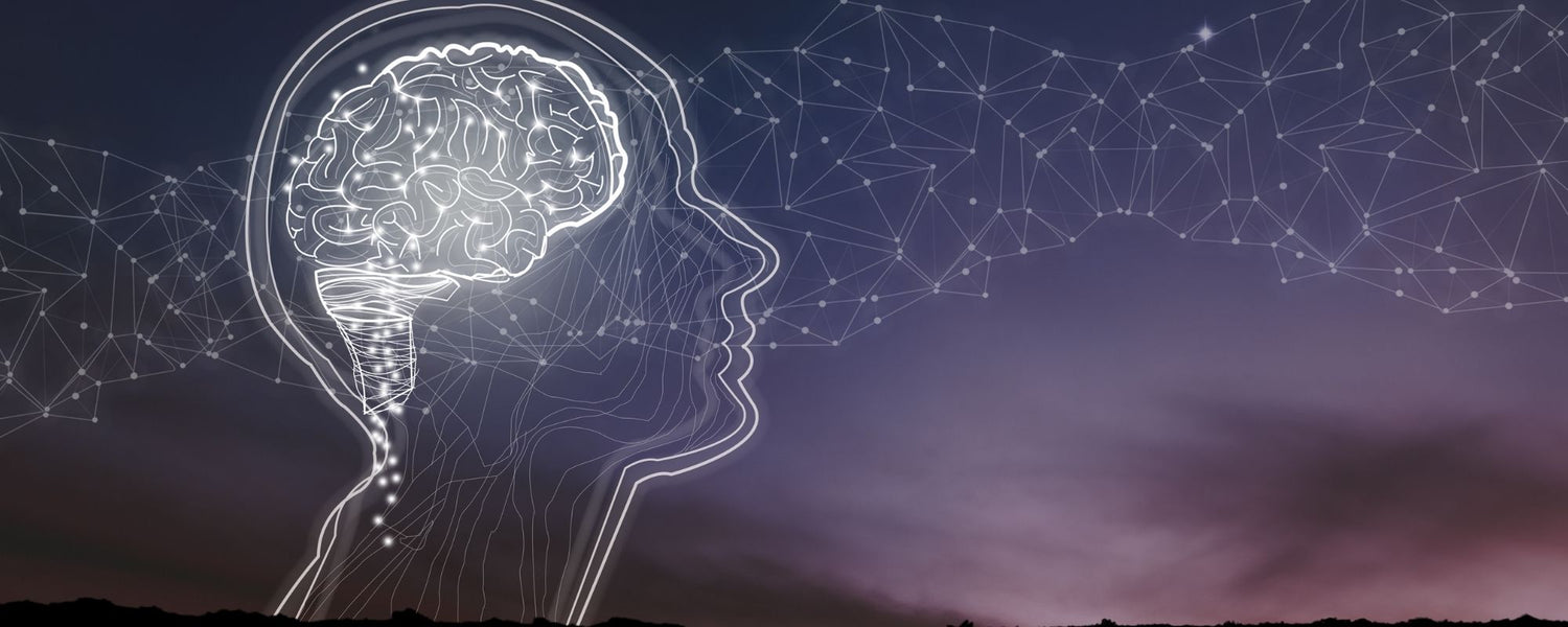 The 200 Year Journey of the Most Misunderstood Brain Energy Molecule