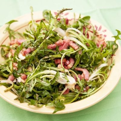 Dandelion: Dandelion Salad with Crispy Pecans & Crumbled Bacon