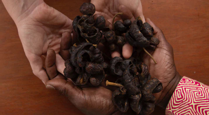This African SpiceFruit WEIGHT LOSS Solution Sounded Too Good To Be True..