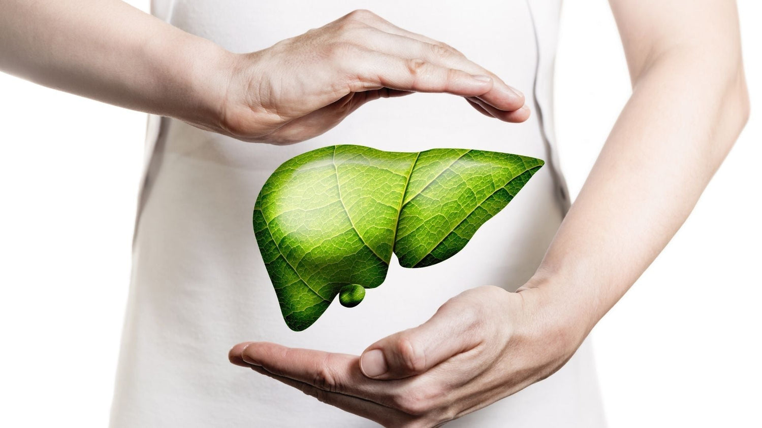 The Surprising Link Between Bergamot and a Healthier Liver