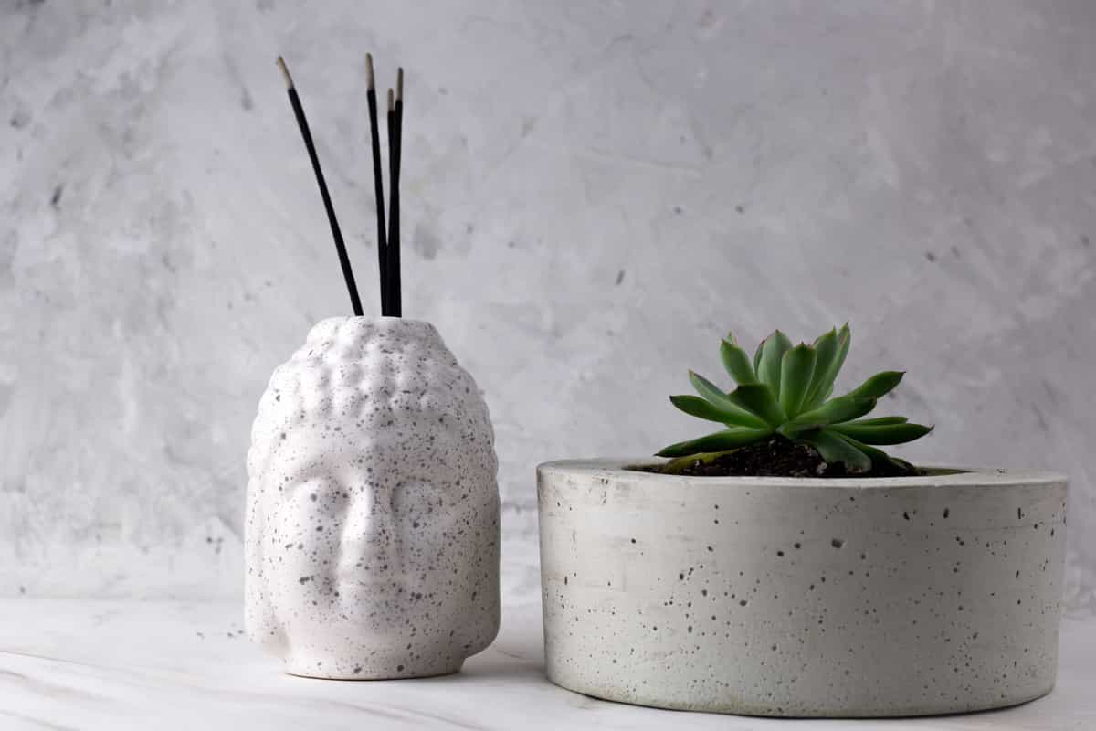 Resveratrol and Brain Health: Have a Healthy Mind