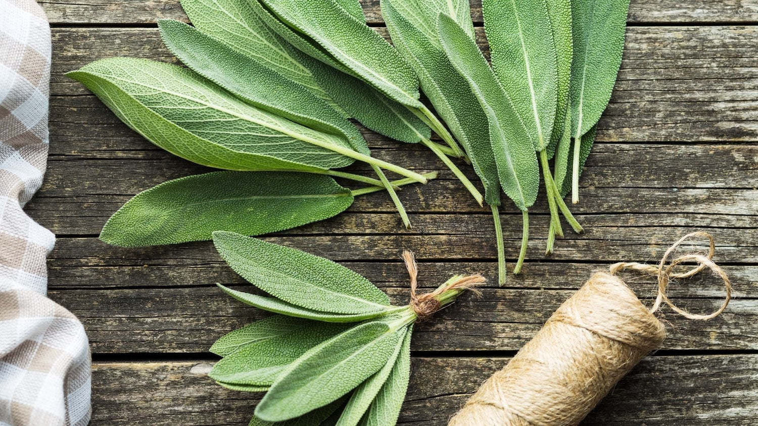 The Herb That Works Like a Memory Drug