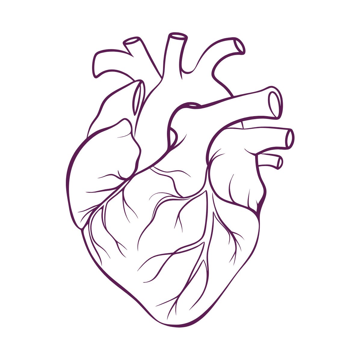 Purple line drawing of a heart on a white background