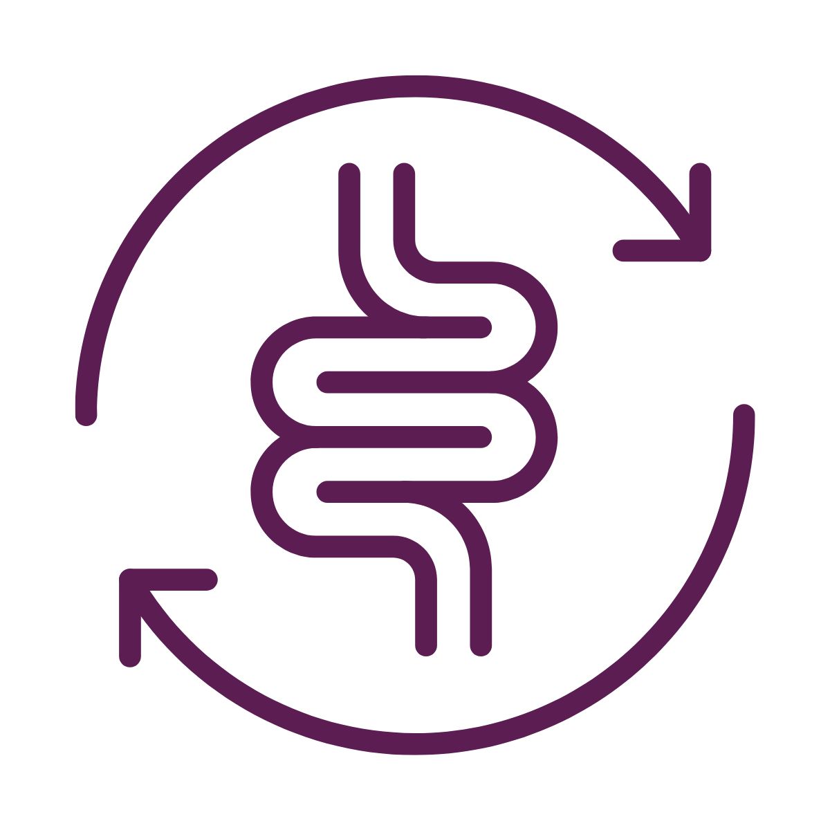 Purple icon of a digestive system with arrows on a white background