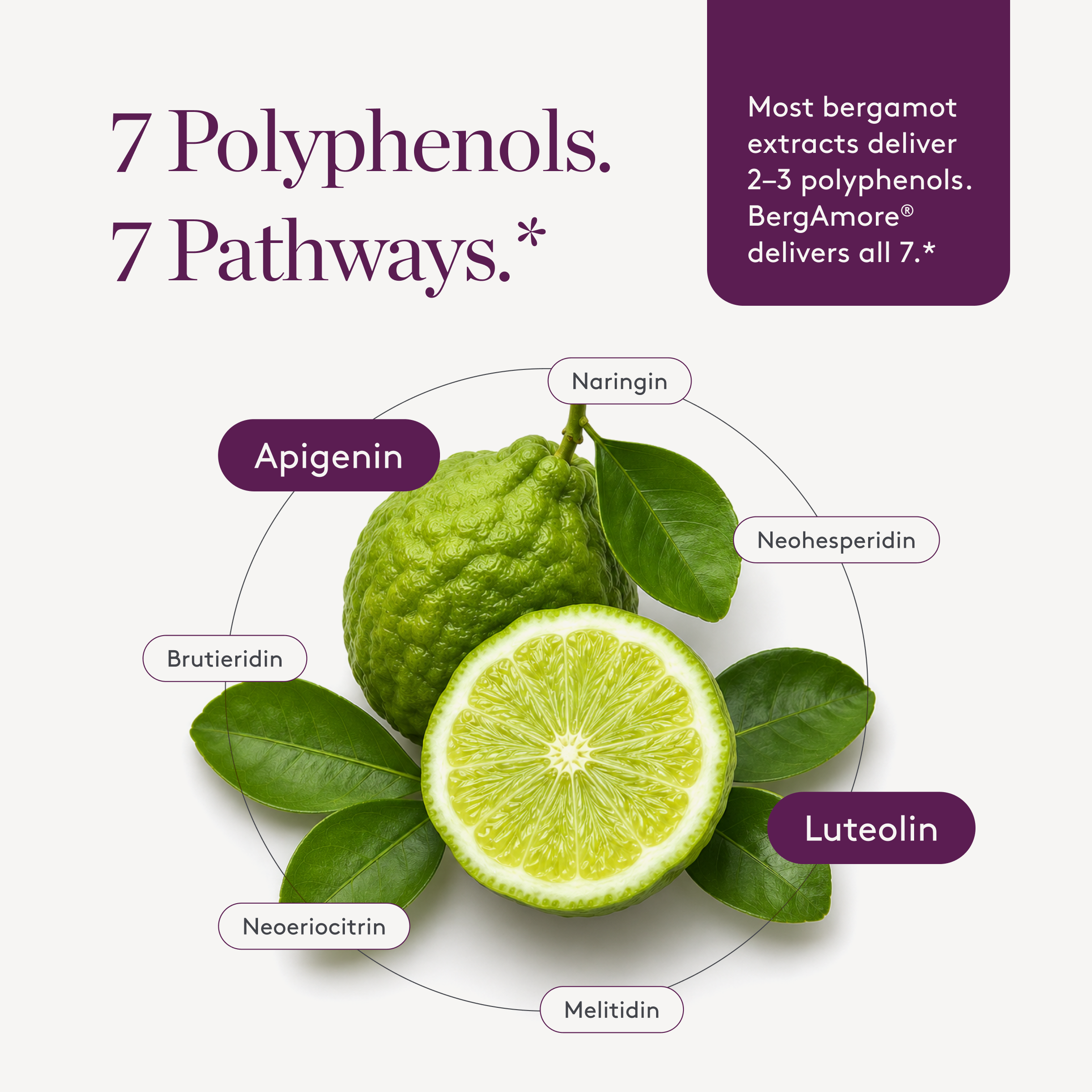 Italian Citrus Bergamot