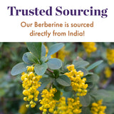 Trusted Sourcing Our Berberine is sourced directly from India!
