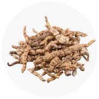Pile of dried ginseng roots on a white background