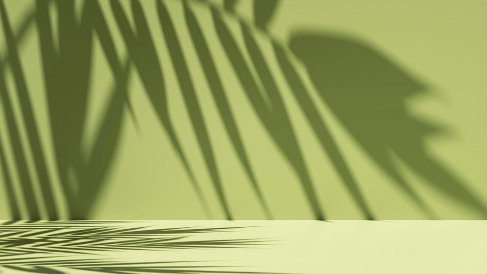 Shadow patterns of palm leaves on a light green background