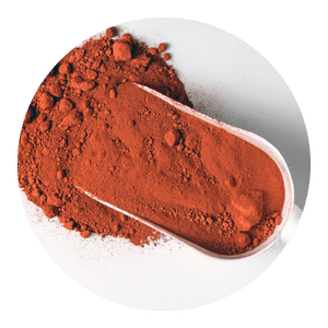 Clove spice with a spoon on a white background