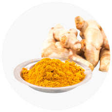 Turmeric powder in a bowl with fresh turmeric roots on a white background