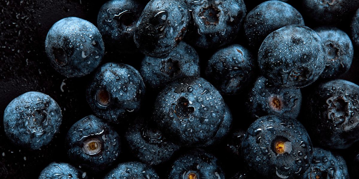 Close-up of blueberries with water droplets on a dark background