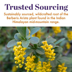 Trusted Sourcing Our Berberine is sourced directly from India!