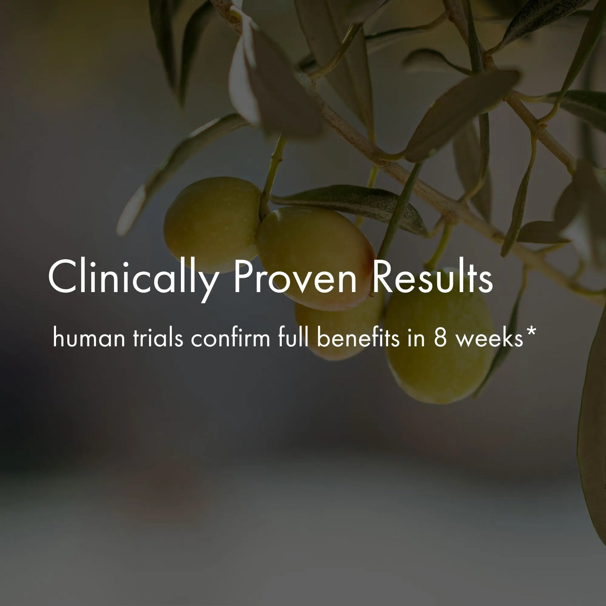 Olive branch with text about clinically proven results and human trials on a blurred background
