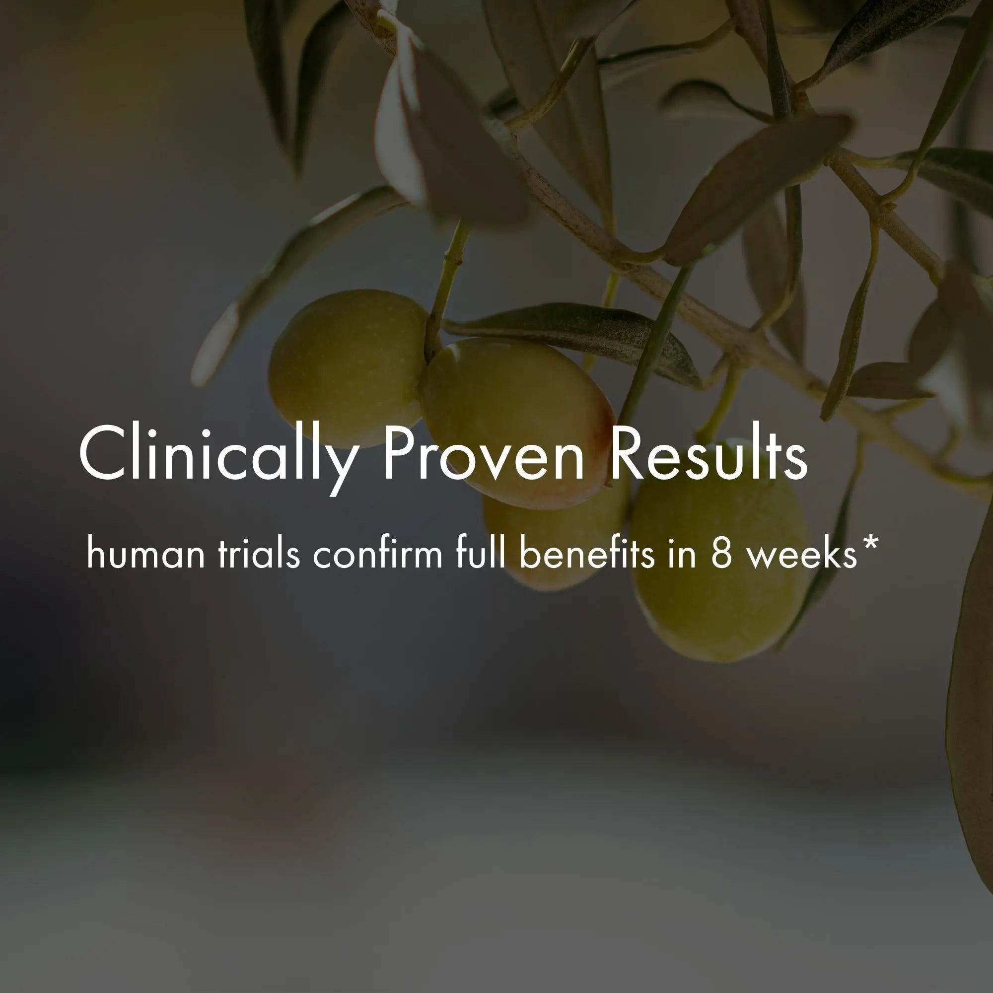 Olive branch with text about clinically proven results and human trials on a blurred background