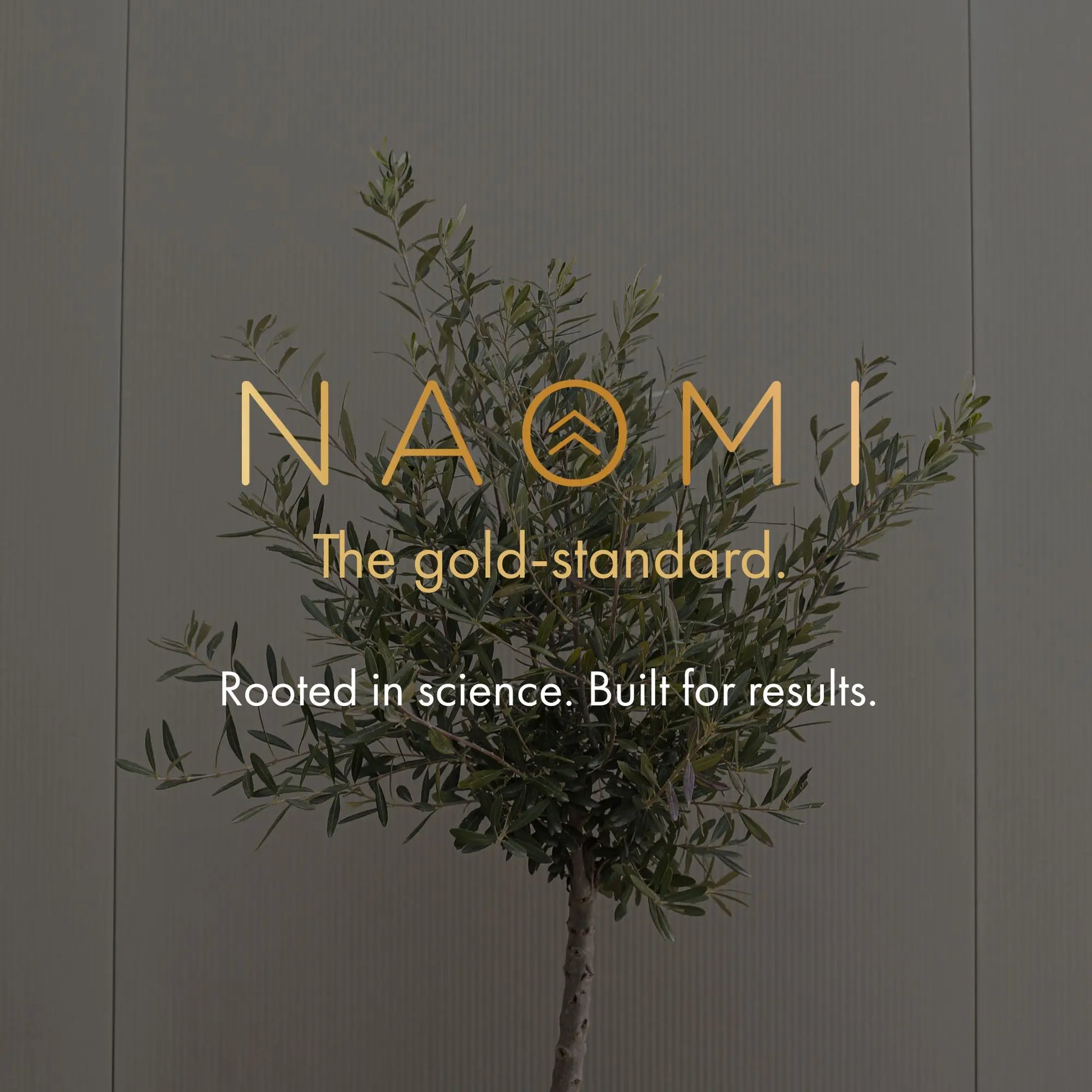 Tree with 'NAOMI' branding and tagline on a gray background