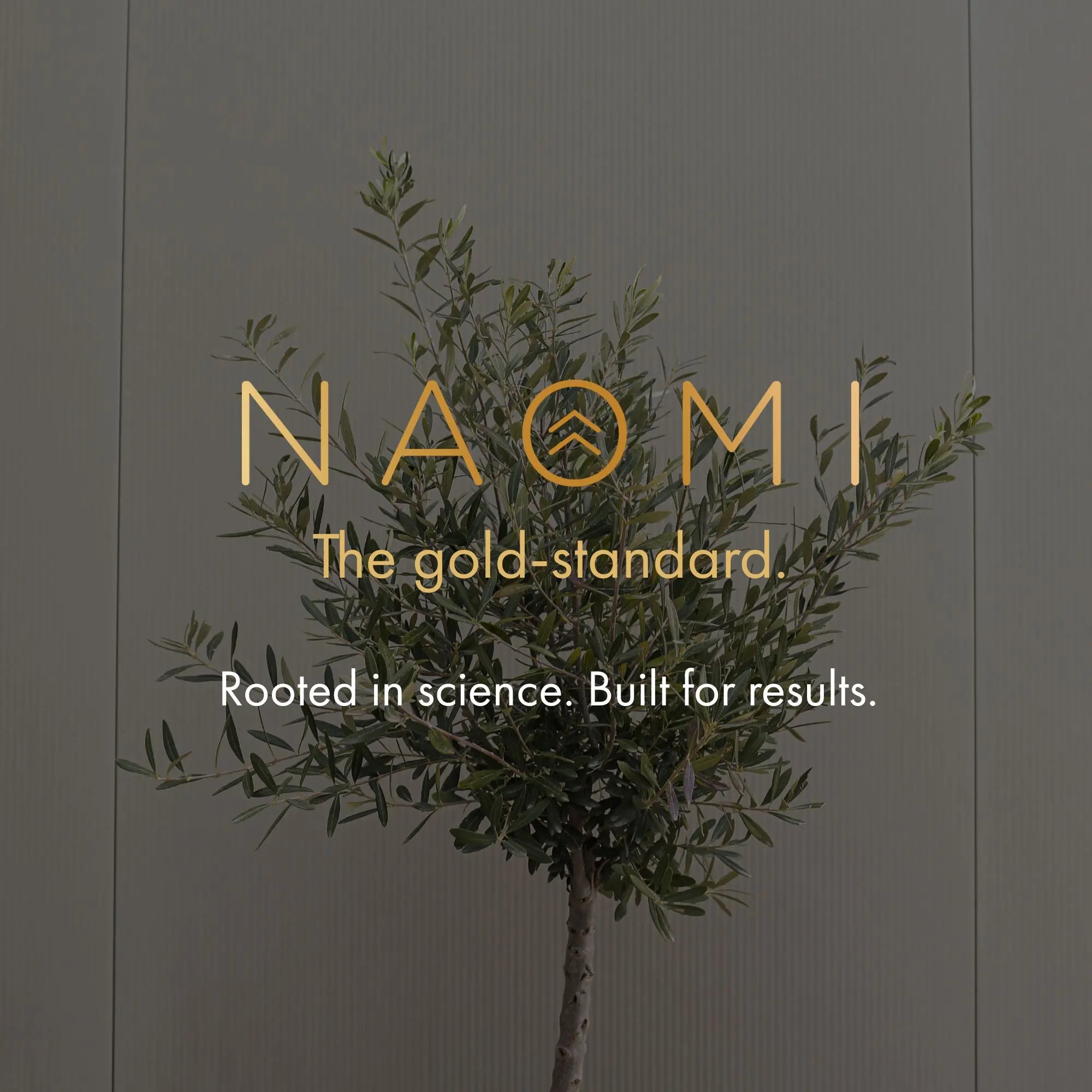 Tree with 'NAOMI' branding and tagline on a gray background