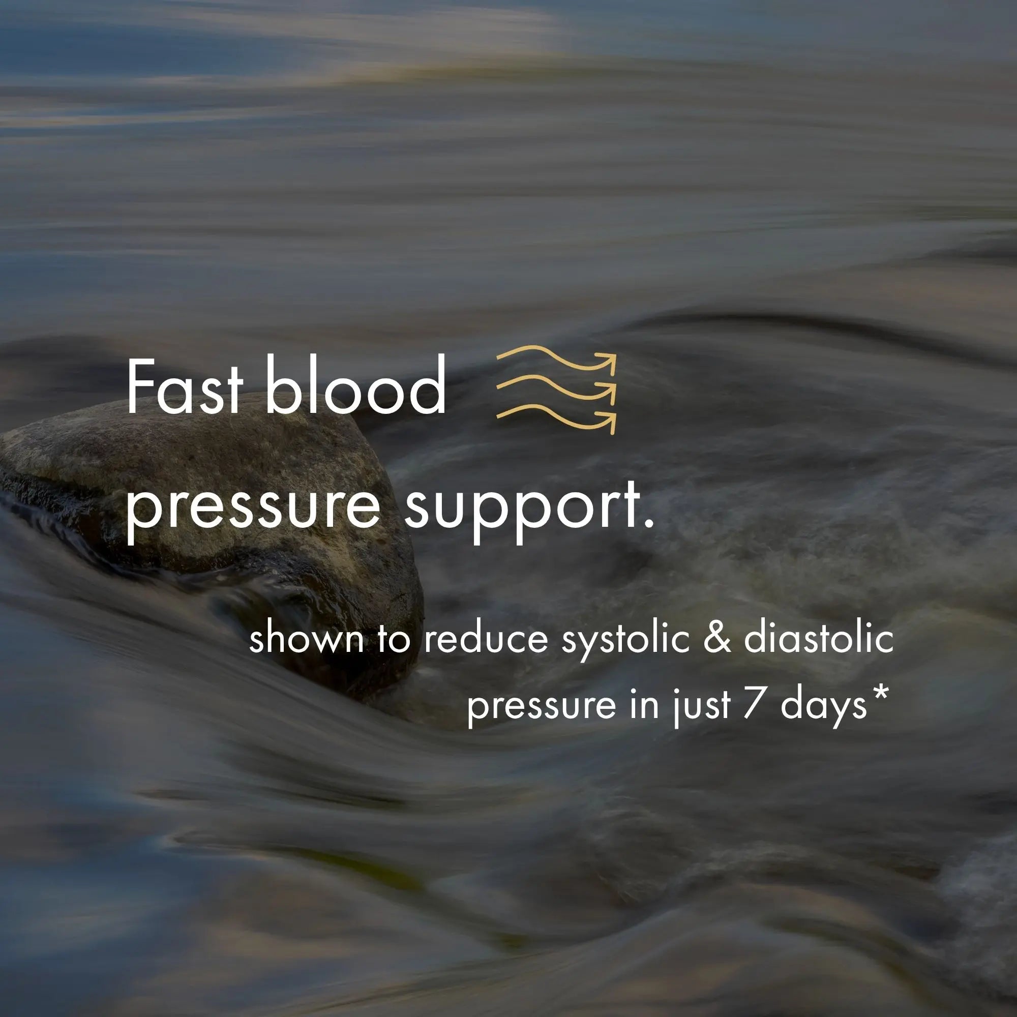 Rocks in water with text about fast blood pressure support