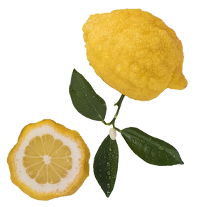 bergamot fruit