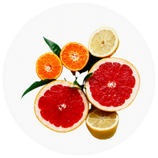 Fruits including oranges, lemons, and grapefruits on a white background