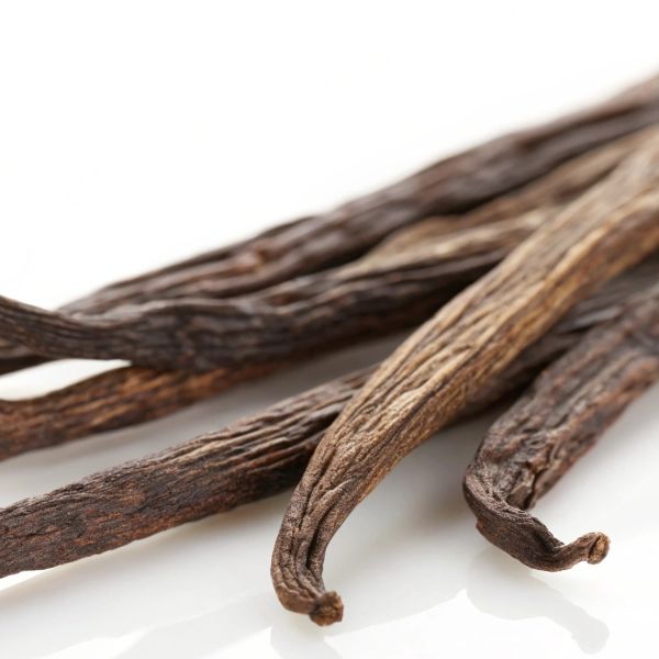 Vanilla beans on a white background
