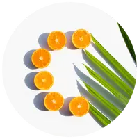 Oranges arranged in a circular pattern with a palm leaf on a white background