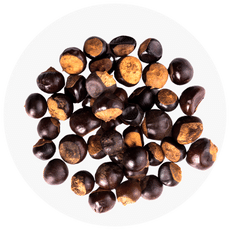 Close-up of guarana-seeds on a white background