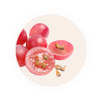 Close-up of red grapes on a white plate