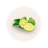 Bergamot slices on a white plate with a white background