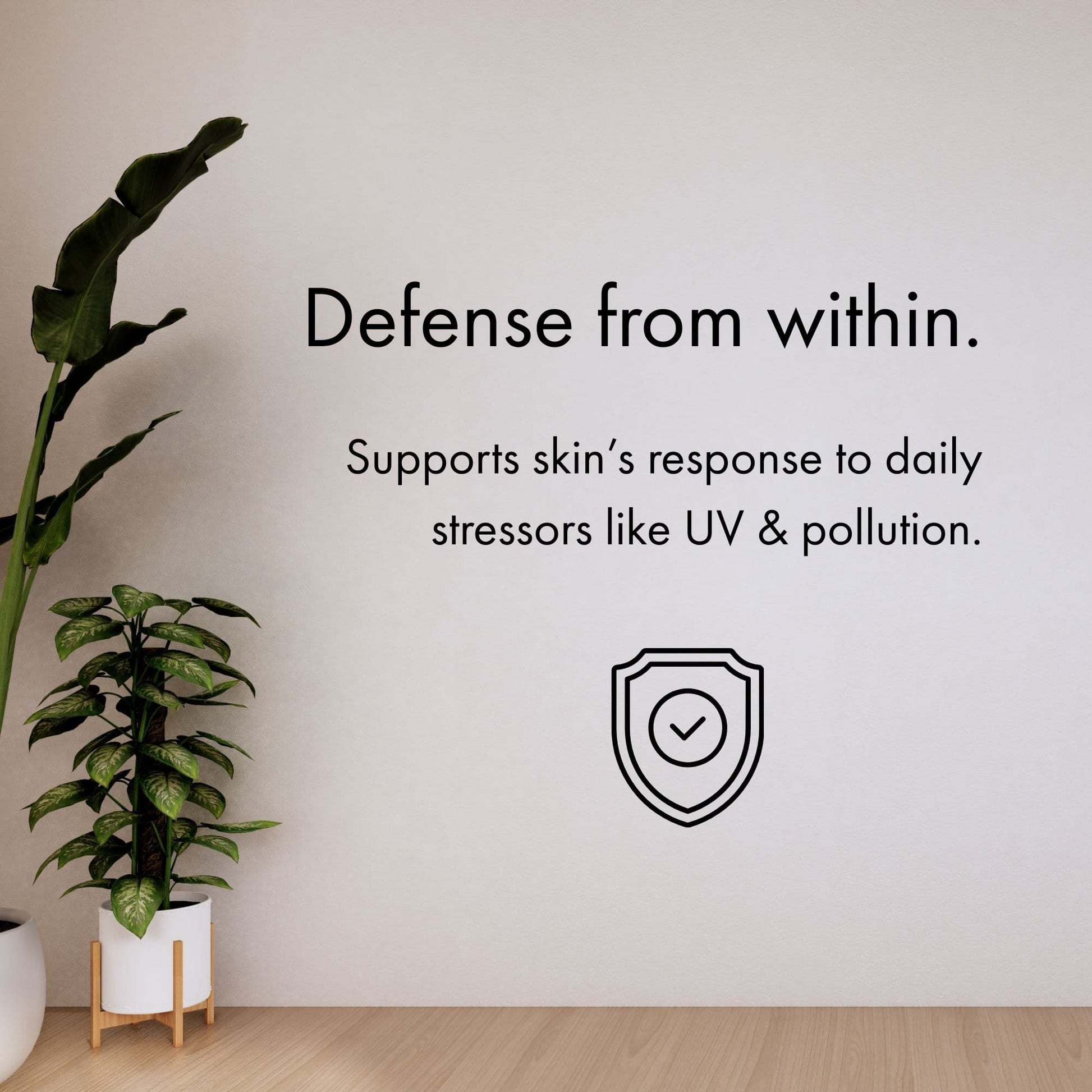 Room interior with plants and text about skin defense against UV and pollution.
