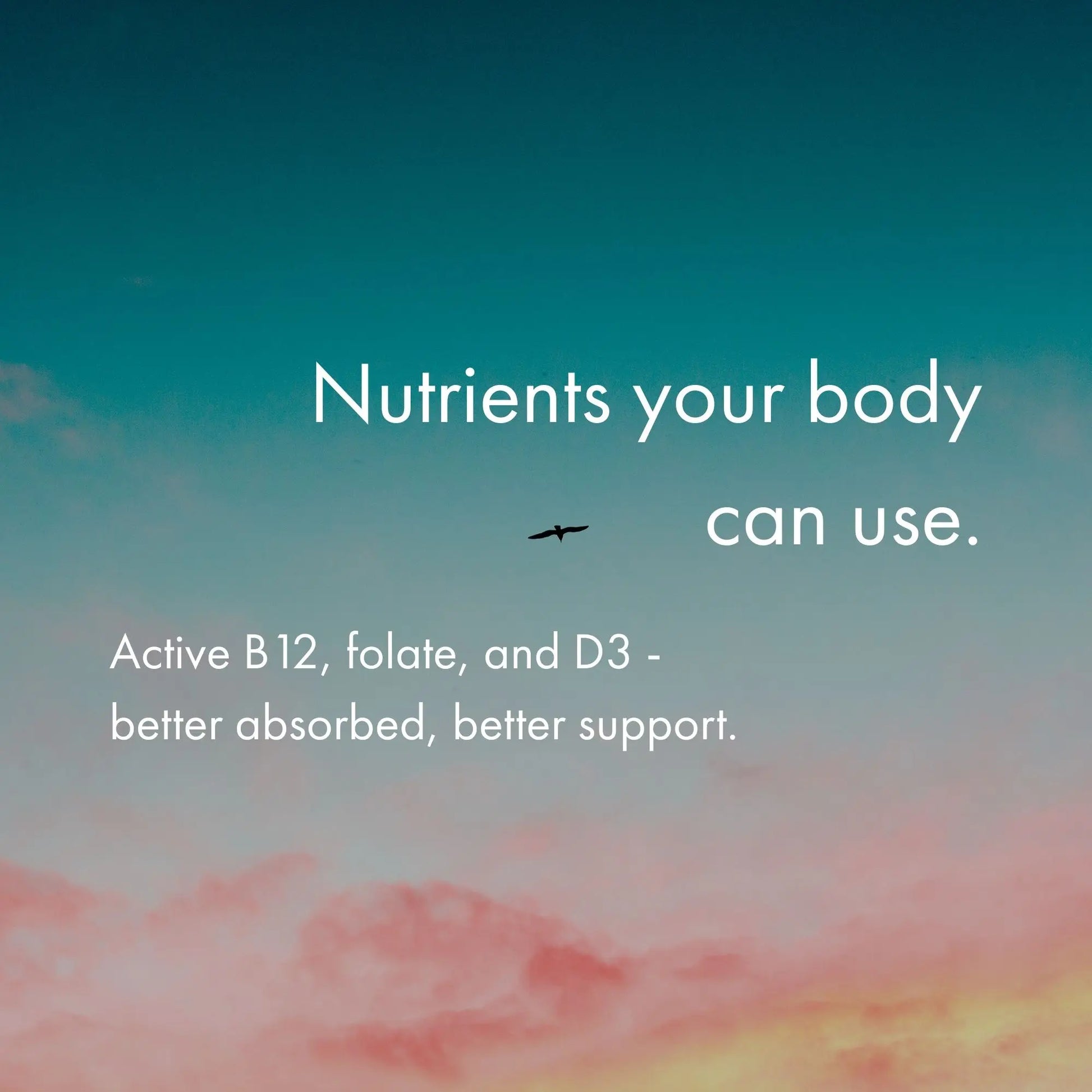 Text about nutrients on a colorful sky background with a bird flying.
