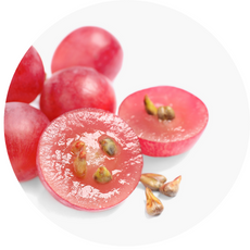 Red fruits with seeds on a white background