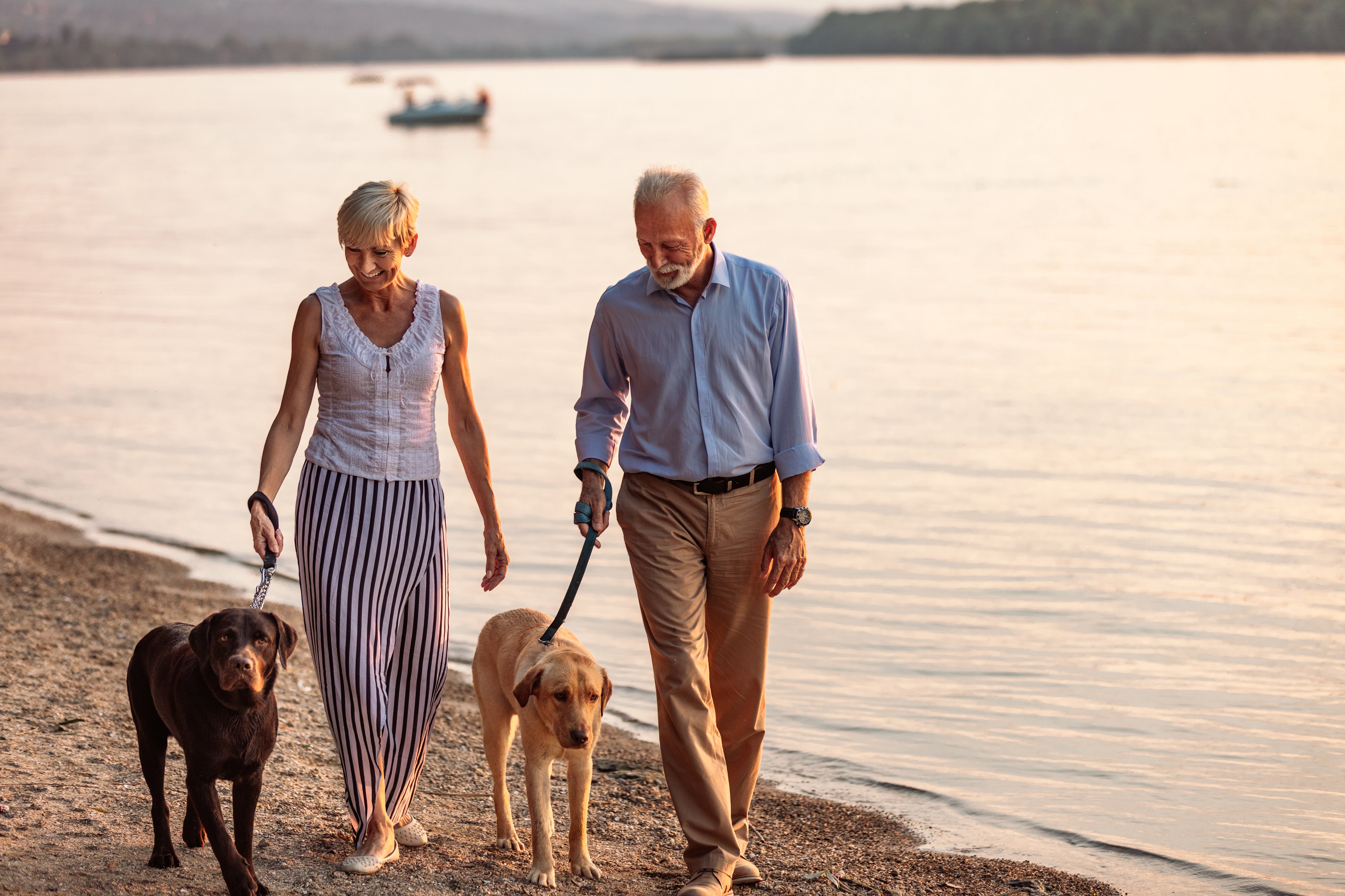 Senior couple walking two dogs by a lake at sunset