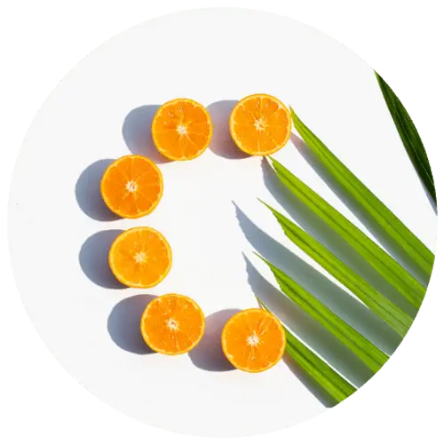 Sliced oranges arranged in a circular pattern with a palm leaf on a white background