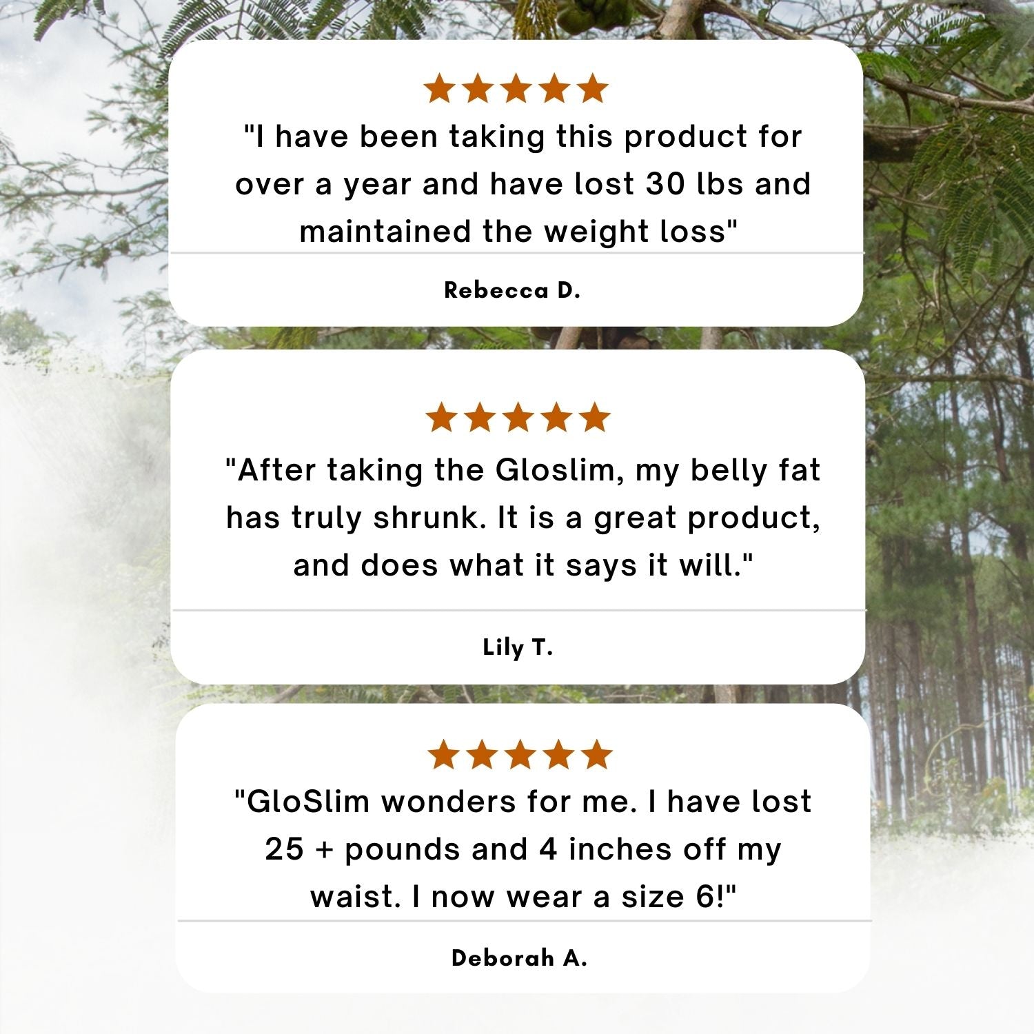 Spicefruit GloSlim + StressAdapt